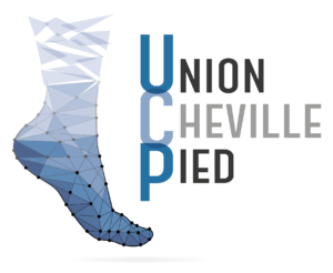 https://unionchevillepied.fr/wp-content/uploads/2021/07/logo-1-300x246.png